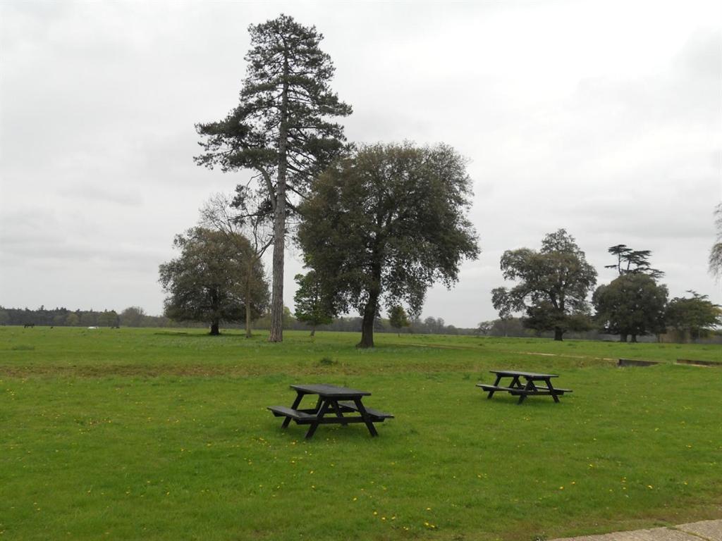 The Stables At Henham Park Bed & Breakfast Southwold Luaran gambar