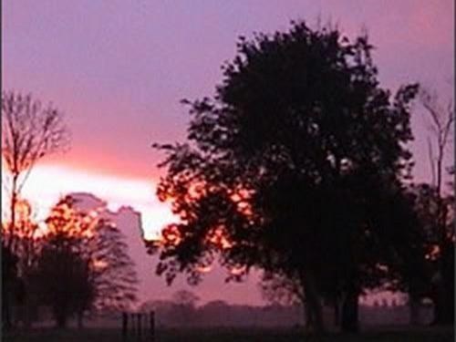 The Stables At Henham Park Bed & Breakfast Southwold Luaran gambar